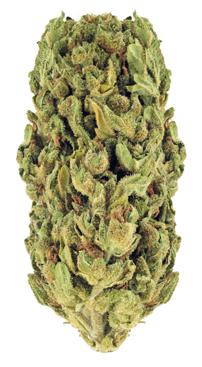 Cannabis-Hero