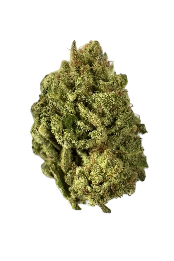 Saphir Kush Diesel PEI