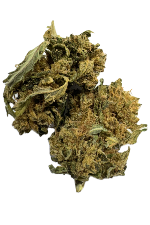 chopshop-fleurs-cbd-france-Amnésia