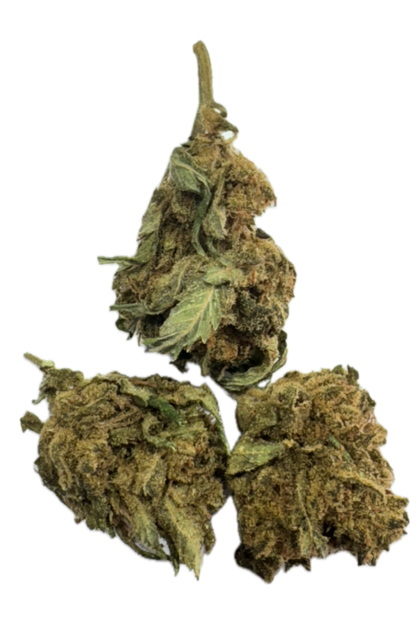 Bubba Kush Bio France