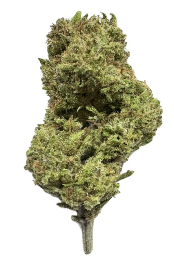 Platinium OG Pei